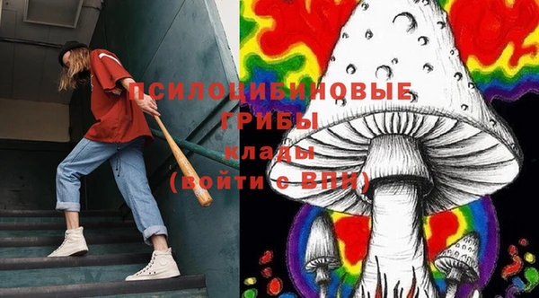 меф Алексин